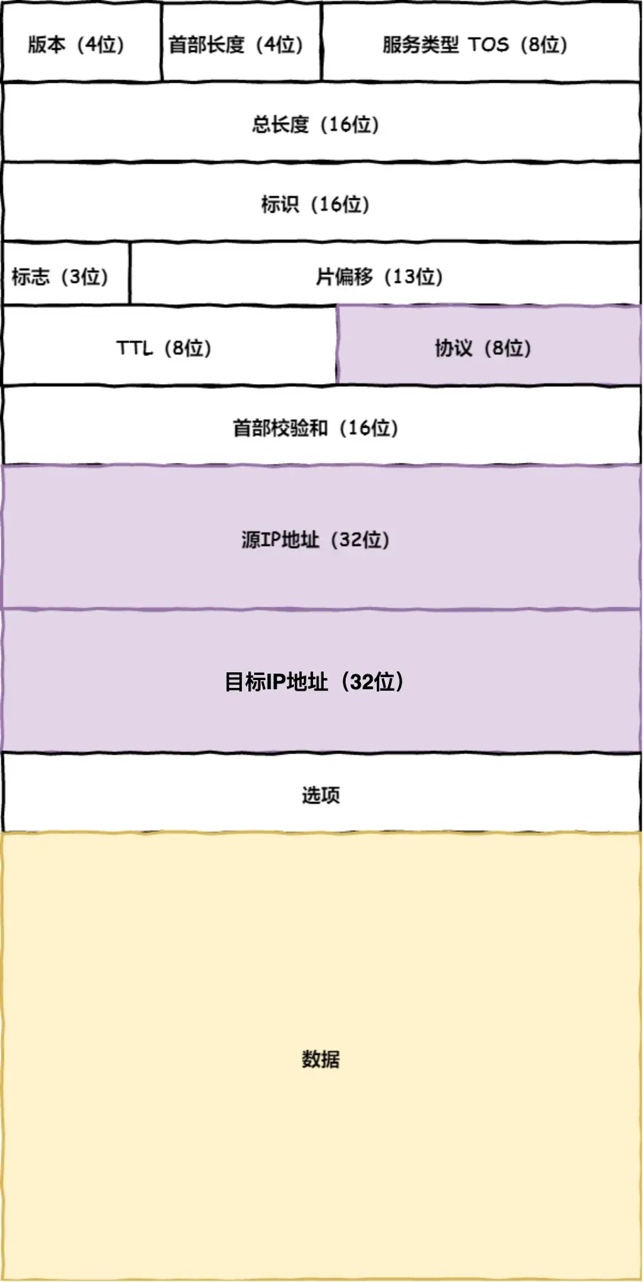 IP 报文格式