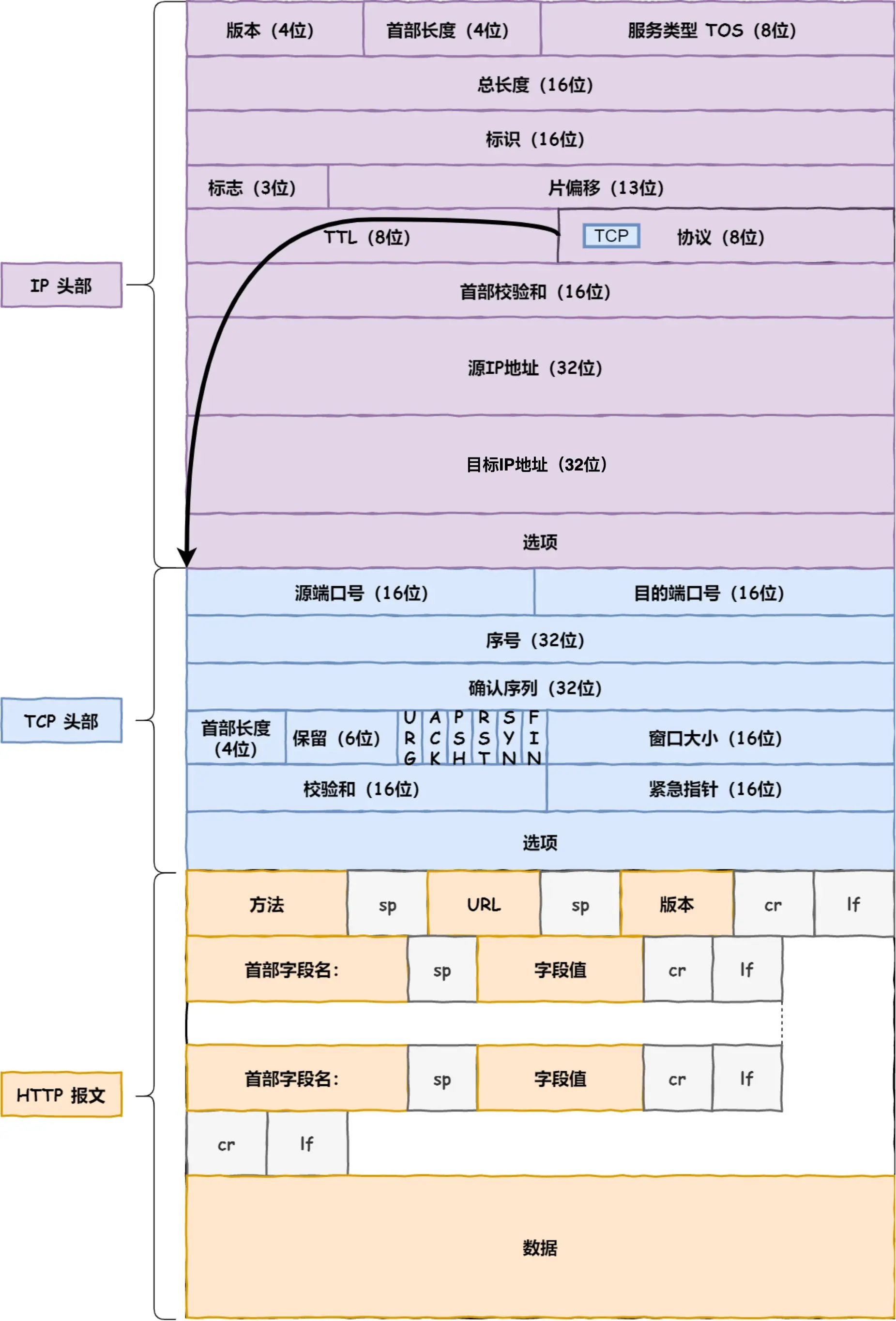 网络层报文