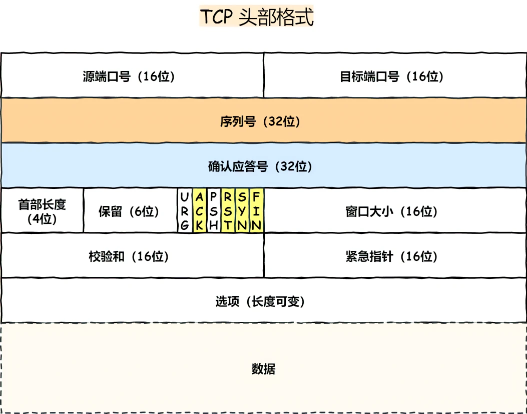 TCP 头部格式